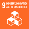 UN Sustainable Development Goal 09